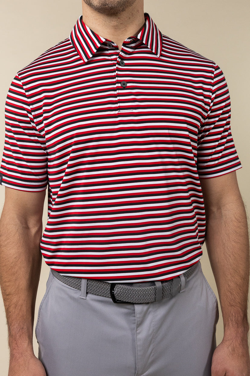 Ivy Stripe Polo image